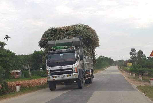 Nghệ An: Xe quá tải " tung hoành" trên đường mòn Hồ Chí Minh