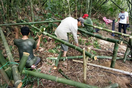 Thừa Thiên Huế: Dân dựng lán trại ngăn "cát tặc" lộng hành