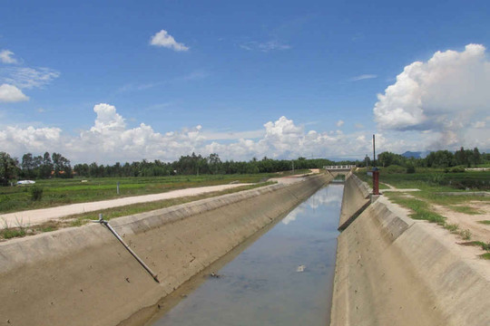 Bình Định: Hệ thống kênh tưới Văn Phong bị ô nhiễm môi trường
