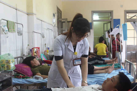Điện Biên: 11 học sinh nhập viện do ong đốt