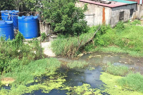 Yên Khánh (Ninh Bình): Công ty CP Chế biến nông sản Việt Xanh xả thải gây ô nhiễm