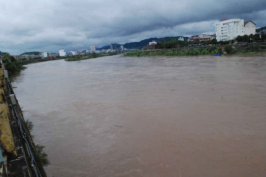 Lào Cai: Nước thượng nguồn đang đổ về, lũ sông Hồng vượt báo động 1