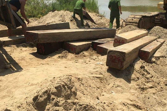 Quảng Nam: Bắt ghe vận chuyển gỗ lậu trên sông Yên