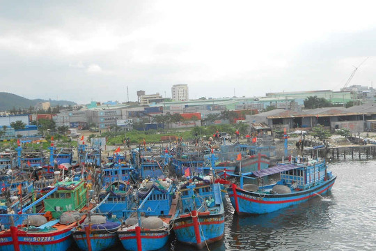 Các tỉnh miền Trung cấm đi biển và kêu gọi tàu thuyền tránh bão