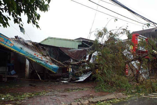 Bão số 10 càn quét Hà Tĩnh - Quảng Bình: Hơn 70 ngàn ngôi nhà bị sập, tốc mái