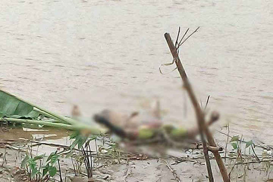 Phú Thọ: Phát hiện xác chết không đầu trên sông Hồng