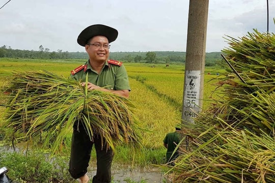 Quảng Trị: Hàng trăm lượt cán bộ, chiến sĩ Công an xuống đồng giúp dân gặt lúa, dọn dẹp vệ sinh sau bão