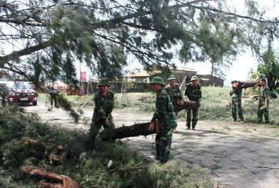 Hà Tĩnh: Chung tay "giải cứu" cho người dân trồng rừng bị thiệt hại do bão