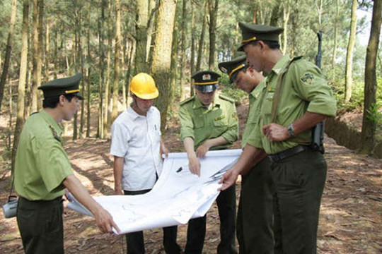 Nhiều khó khăn trong quản lý đất rừng