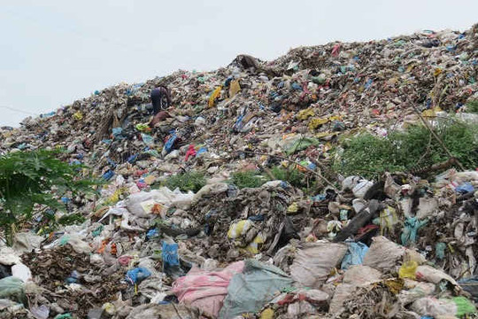 Quảng Nam: Ban hành giá dịch vụ thu gom, vận chuyển rác thải
