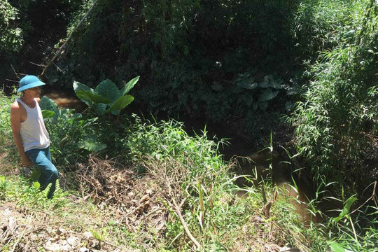 Thừa Thiên Huế: Khu công nghiệp Phong Điền không có hệ thống xử lý nước thải