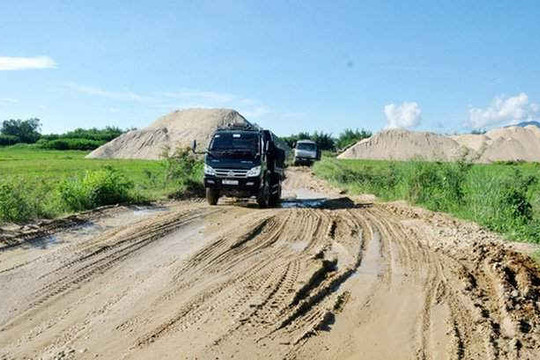Quảng Ngãi: Kỷ luật Chủ tịch huyện sử dụng tiền ngân sách làm đường cho doanh nghiệp khai thác cát