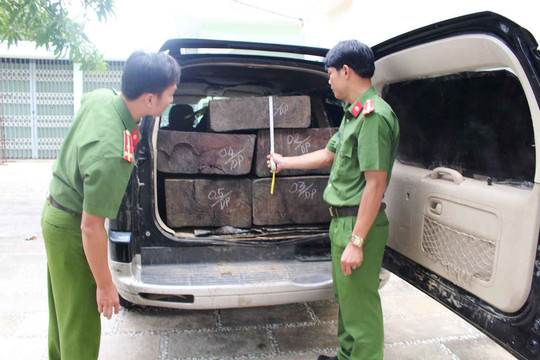 Quảng Nam: Liên tiếp phát hiện tàng trữ, vận chuyển gỗ lậu