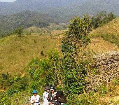 Kon Tum: Chỉ đạo tăng cường trồng rừng, bảo vệ rừng tự nhiên