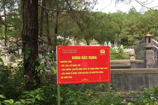 Thừa Thiên Huế: Giải quyết thỏa đáng cho người dân liên quan Dự án "Rừng mưa nhiệt đới"?