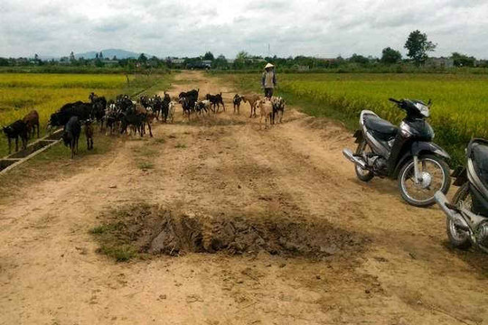 Gia Lai: Điều tra vụ vay cho vay "cắt cổ" trong buôn làng