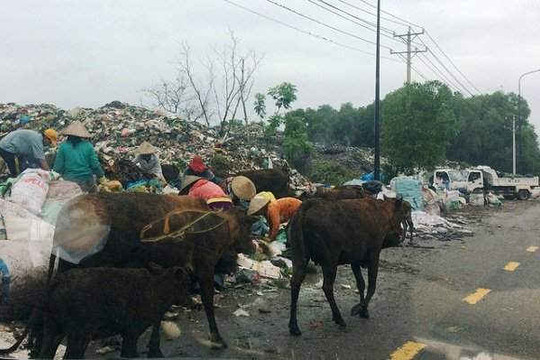 Kiên Giang: Nhà máy xử lý rác Phú Quốc bốc mùi, dân chặn xe rác