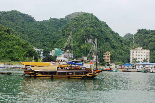 Hải Phòng: Thẩm định Quy hoạch địa điểm neo đậu tàu du lịch lưu trú qua đêm trên vịnh Cát Bà