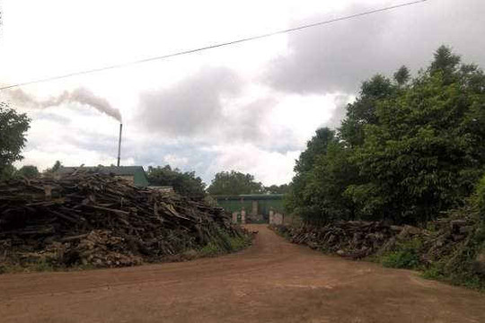 Đắk Lắk: Vụ dân tố nhà máy chế biến mủ cao su gây ô nhiễm, DN từ chối cung cấp thông tin