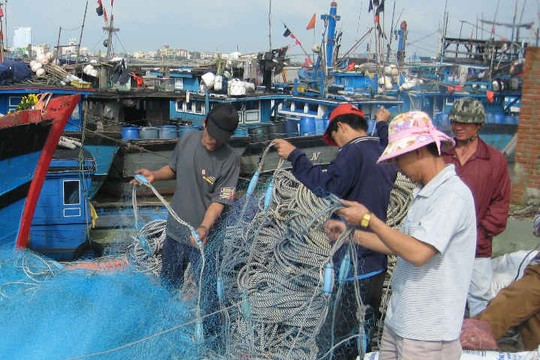 Phú Yên: Khẩn trương di dời lồng, bè nuôi trồng thủy sản trái phép ra khỏi khu neo đậu tàu thuyền tránh trú bão