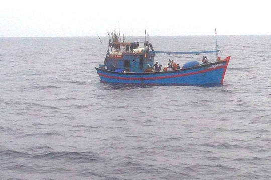 Quảng Nam: Chìm tàu câu mực chìm giữa biển, 1 người chết, thuyền trưởng mất tích