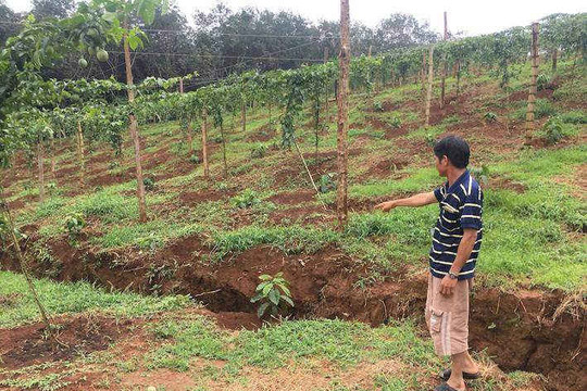 Đắk Nông: Người dân bất an vì đất sản xuất nông nghiệp bị sụt lún gần hồ bùn đỏ