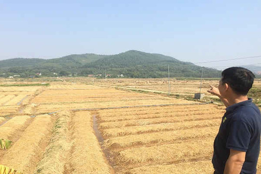 Bắc Giang: Tạm dừng triển khai dự án xây dựng nghĩa trang An Phúc Viên