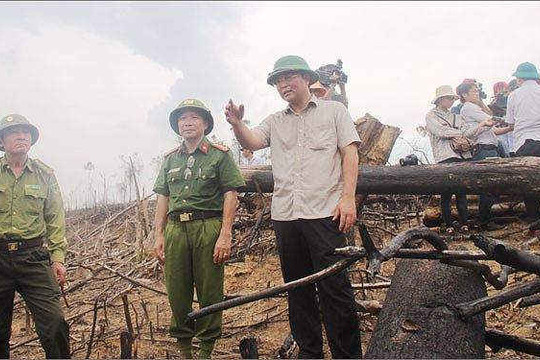 Quảng Nam Xóa bỏ các điểm nóng về phá rừng khai thác vận chuyển lâm sản trái phép