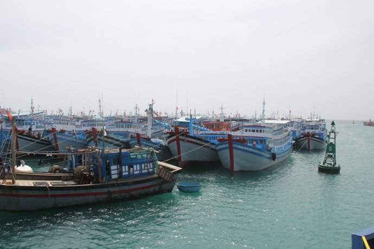 Bình Thuận: Cấm tàu thuyền ra khơi từ 17 giờ chiều ngày 18/11