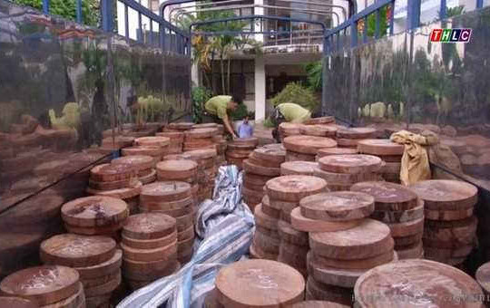 Lào Cai: Phạt 160 triệu đồng đối tượng buôn bán trái phép gần 800 chiếc thớt gỗ nghiến