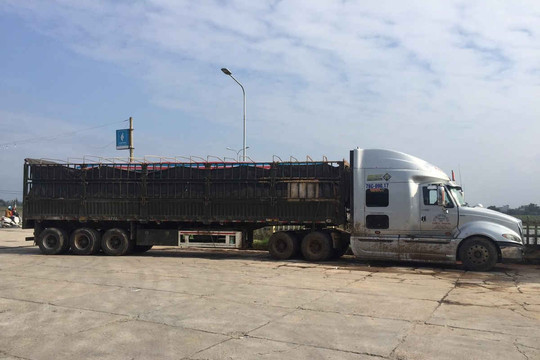 Quảng Nam: Bắt xe tải đổ trộm chất thải