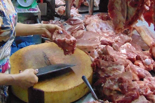 100% mẫu thịt tươi nhiễm vi khuẩn gây hại đường ruột