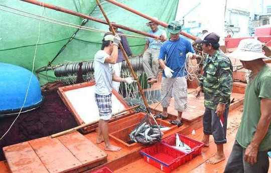 Quảng Nam: Sẽ nhân rộng mô hình bảo quản thủy sản bằng chế phẩm sinh học