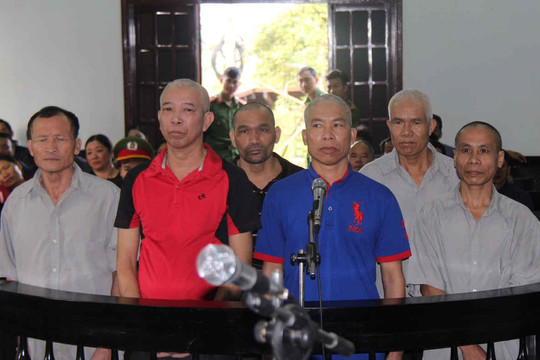 Đắk Nông: Xét xử phúc thẩm lần 2  đối với 7 cựu chiến binh bị khép tội "hủy hoại rừng"
