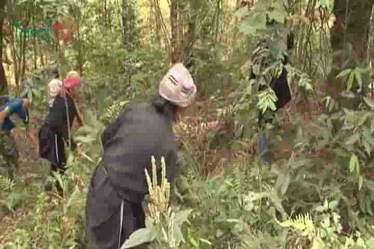 Phát huy hiệu quả tổ bảo vệ rừng thôn bản ở Lai Châu