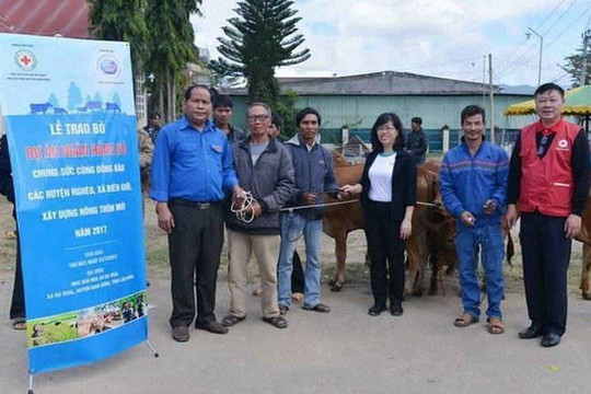 Công ty Sữa Cô Gái Hà Lan tặng 80 con bò cho nông dân nghèo Lâm Đồng