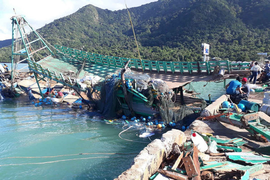 Côn Đảo: Nhiều thiệt hại do bão số 16