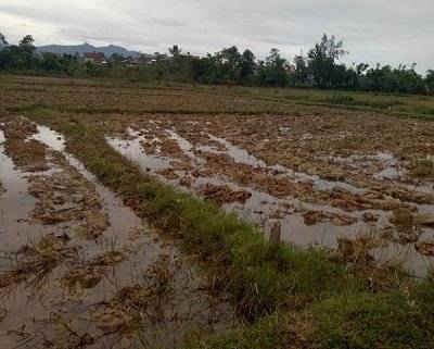 Quảng Bình: Mở rộng hoạt động rà phá bom, mìn, vật liệu chưa nổ