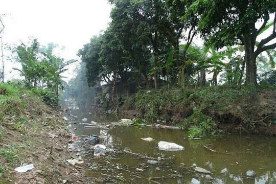 Hưng Hà (Thái Bình):  Bãi rác đầu tư tiền tỷ “biến” thành trại nuôi bò