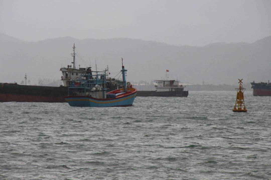 Nhiều tàu gặp nạn do va phải “vật lạ” ở luồng cảng Quy Nhơn ​​​​​​​
