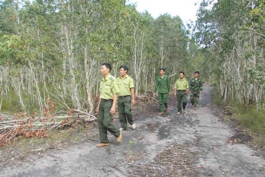 Phú Quốc (Kiên Giang): Chủ động phòng chống cháy rừng trong mùa khô