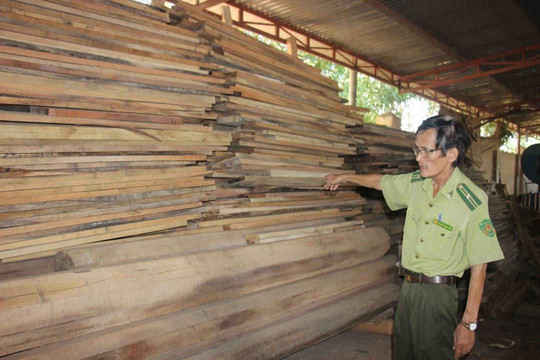 Bình Định: Truy tìm chủ nhân của lô gỗ hương lậu