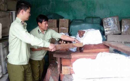 Xe tải chở hơn 1,7 tấn gỗ quý không rõ nguồn gốc bị bắt giữ tại Quảng Nam