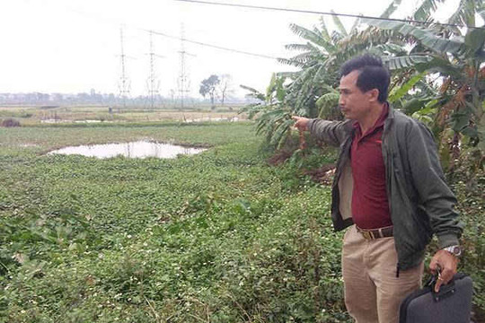 Hà Nội: Sai phạm quản lý đất ở Thường Tín đã xử lý thỏa đáng?