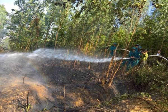 Thạch Thất - Hà Nội: Truy trách nhiệm Chủ tịch xã nếu để xảy ra chặt phá rừng, cháy rừng