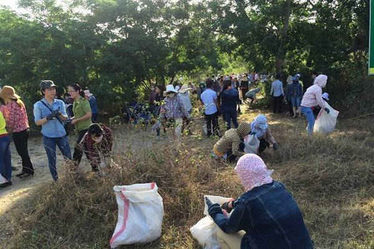 Đà Nẵng:  Tổng dọn vệ sinh môi trường đón Tết Nguyên đán Mậu Tuất