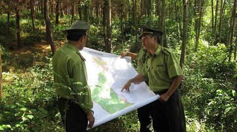 Quảng Bình: Đẩy mạnh công tác tuyên truyền quản lý bảo vệ rừng