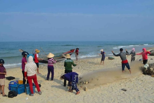 Ngư dân vùng biển Quảng Trị trúng đậm mùa cá trích