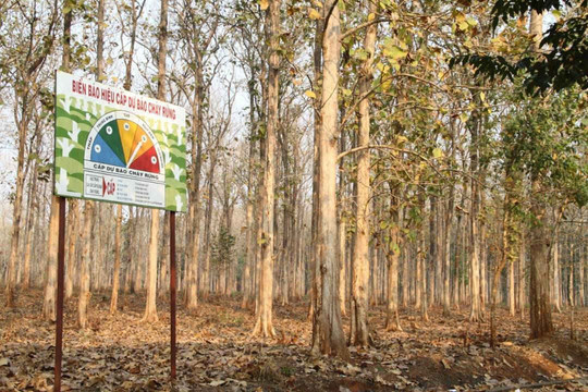 Đắk Lắk: Cảnh báo nguy cơ cháy rừng  cao