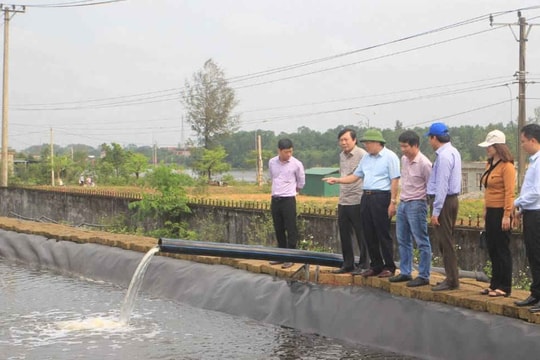 Quảng Trị: Kiểm tra công tác bảo vệ môi trường Dự án Cụm liên hợp Dệt - Nhuộm - May Hải Lăng